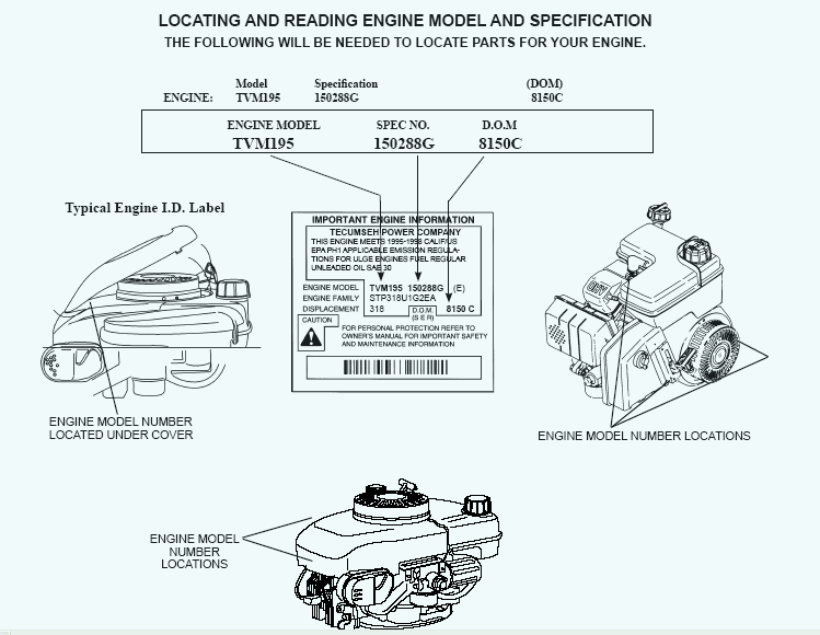 Where to look for a Tecumseh Engine Label