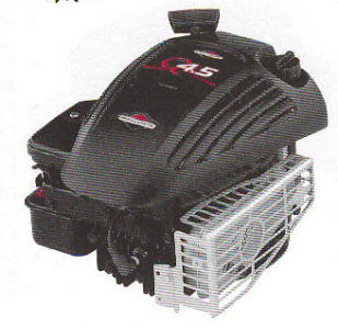 Briggs & Stratton 10G900 Series Engine