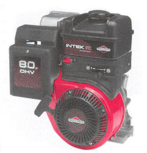 Briggs & Stratton 202400 Series Engine