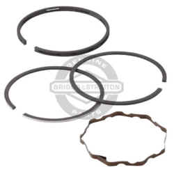 Briggs & Stratton RING SET-STD Part Number 394959