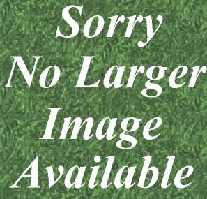 No Image Available for Kohler Starter Cup 15 109 01-S
