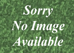 No Image Available for Robin Valve Part No. 248-33501-03