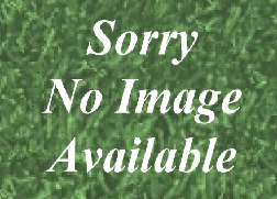 No Image Available for Robin Gasket Set Part No. 255-99001-27